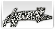 Broderii cu modele reprezentand animale