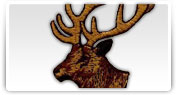Broderii cu modele reprezentand animale