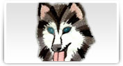 Broderii cu modele reprezentand animale