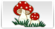 Broderii cu modele diverse