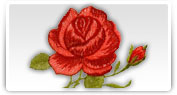 broderii modele florale