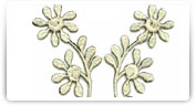 broderii modele florale