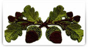broderii modele florale