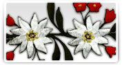 broderii modele florale