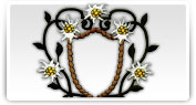 broderii modele florale
