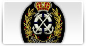 broderii insigne