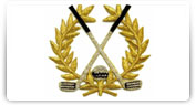 broderii insigne