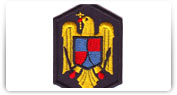 Epoleti, suporti cu insemne grad si semne de arma din cadrul Armatei Romane