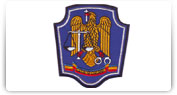 Epoleti, suporti cu insemne grad si semne de arma si ecusoane nominale
