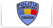 Epoleti, suporti cu insemne grad si semne de arma si ecusoane nominale