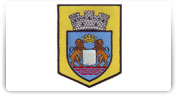 Epoleti, suporti cu insemne grad si semne de arma si ecusoane nominale